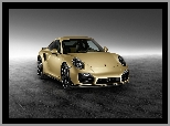 2014, Porsche 911 Turbo Lime Gold, 991